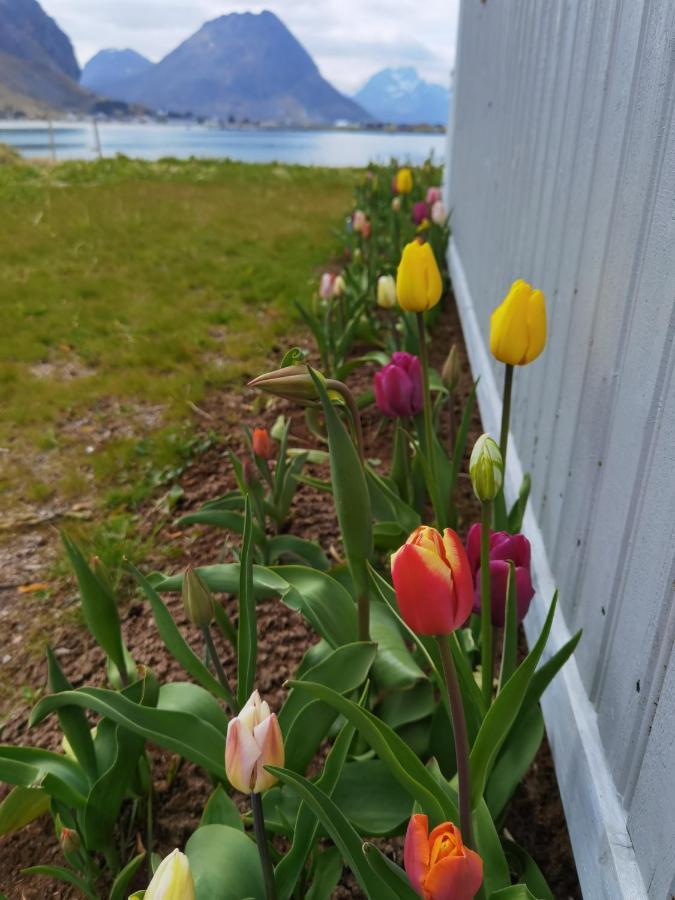 Banpim Beachside Lofoten Ramberg Buitenkant foto