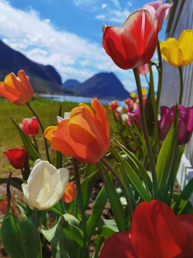 Banpim Beachside Lofoten Ramberg Buitenkant foto
