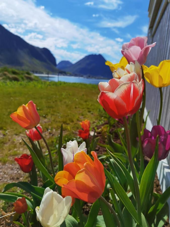 Banpim Beachside Lofoten Ramberg Buitenkant foto