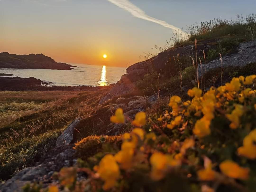Banpim Beachside Lofoten Ramberg Buitenkant foto